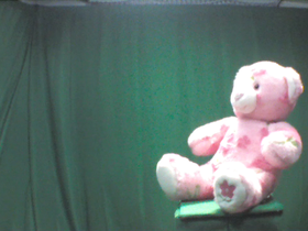 Pink Floral Design Teddy Bear